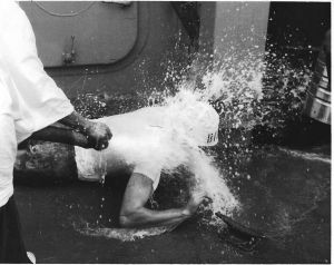 Shellback Initiation